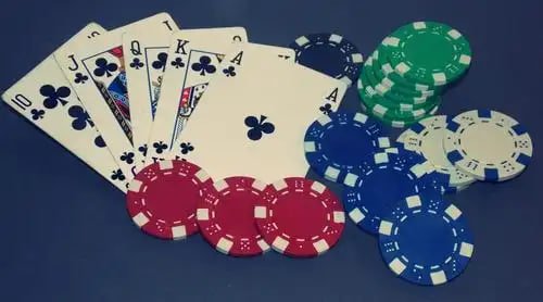 459winvn